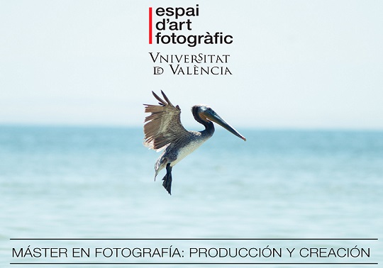 Image de la noticia